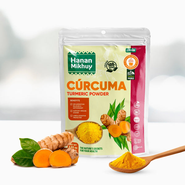 CURCUMA EN POLVO (BOLSA 100GR)