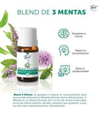 BLEND DE 3 MENTAS